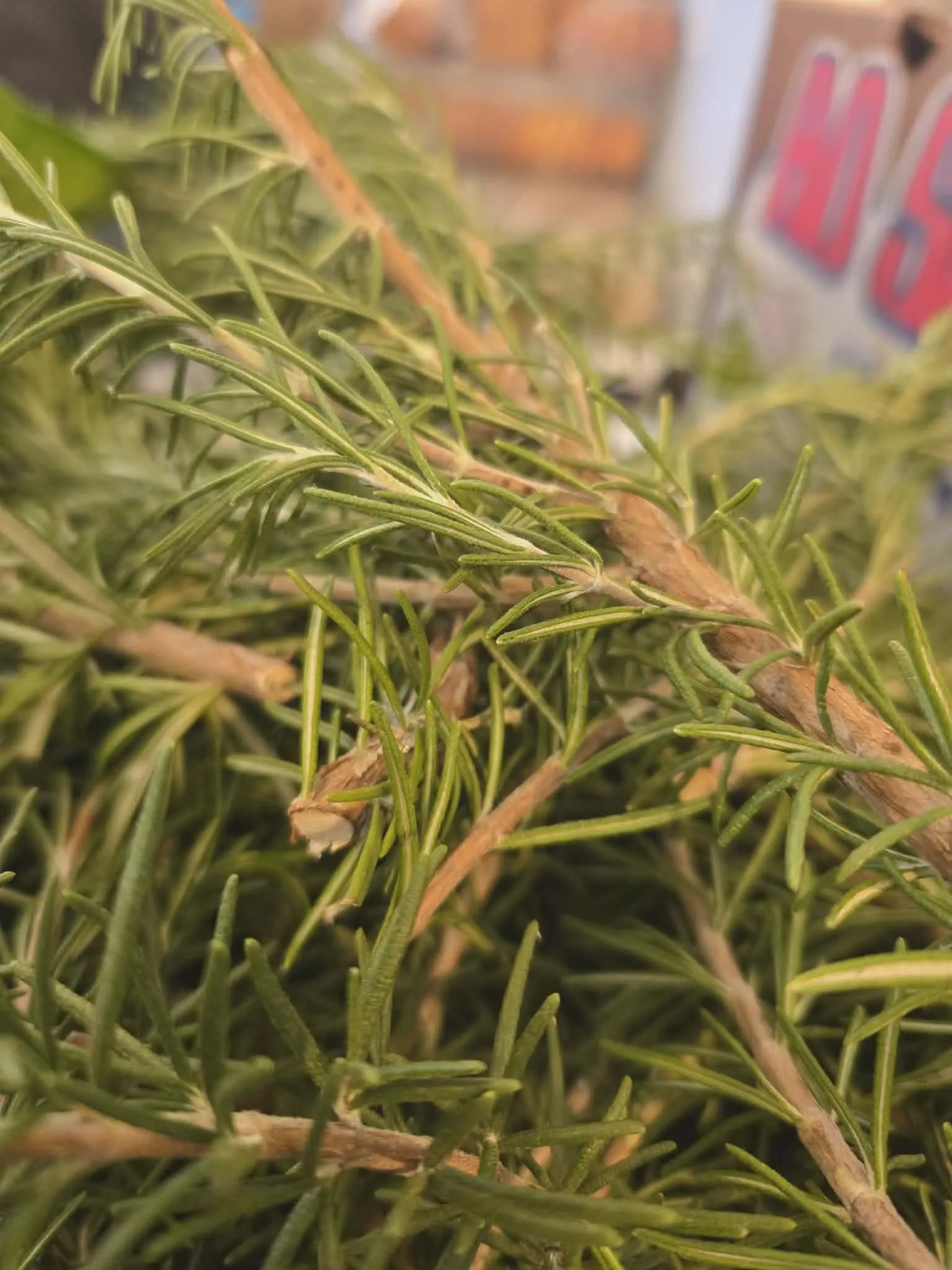Fresh rosemary prepared for a shared meal at CityHeART