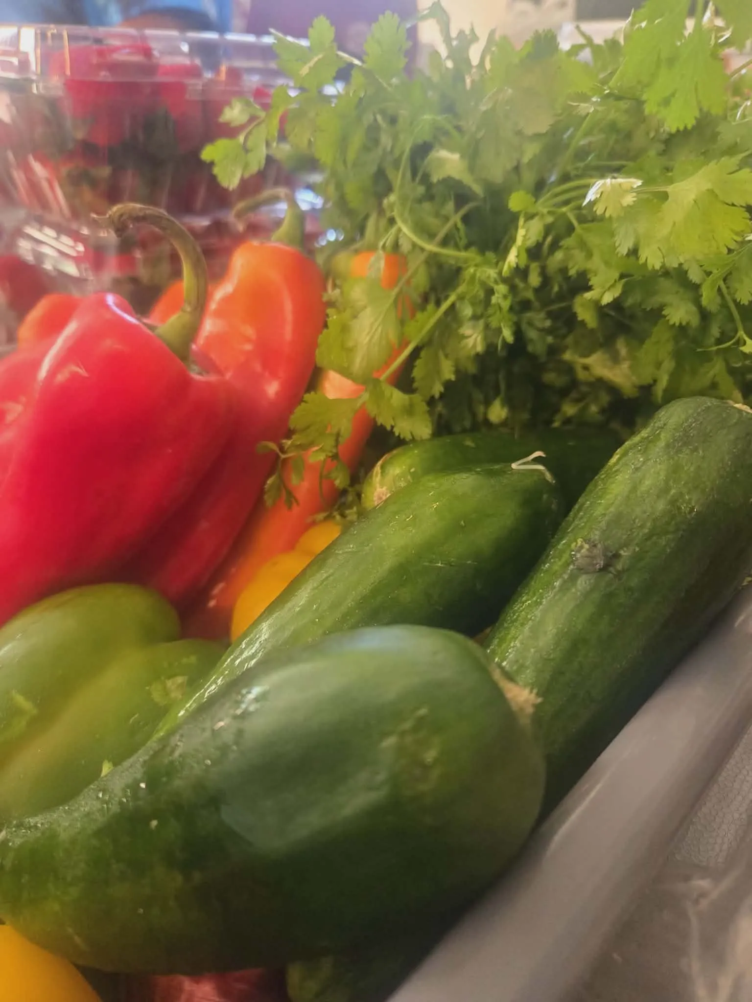 Fresh vegetables and herbs ready for a CityHeART meal