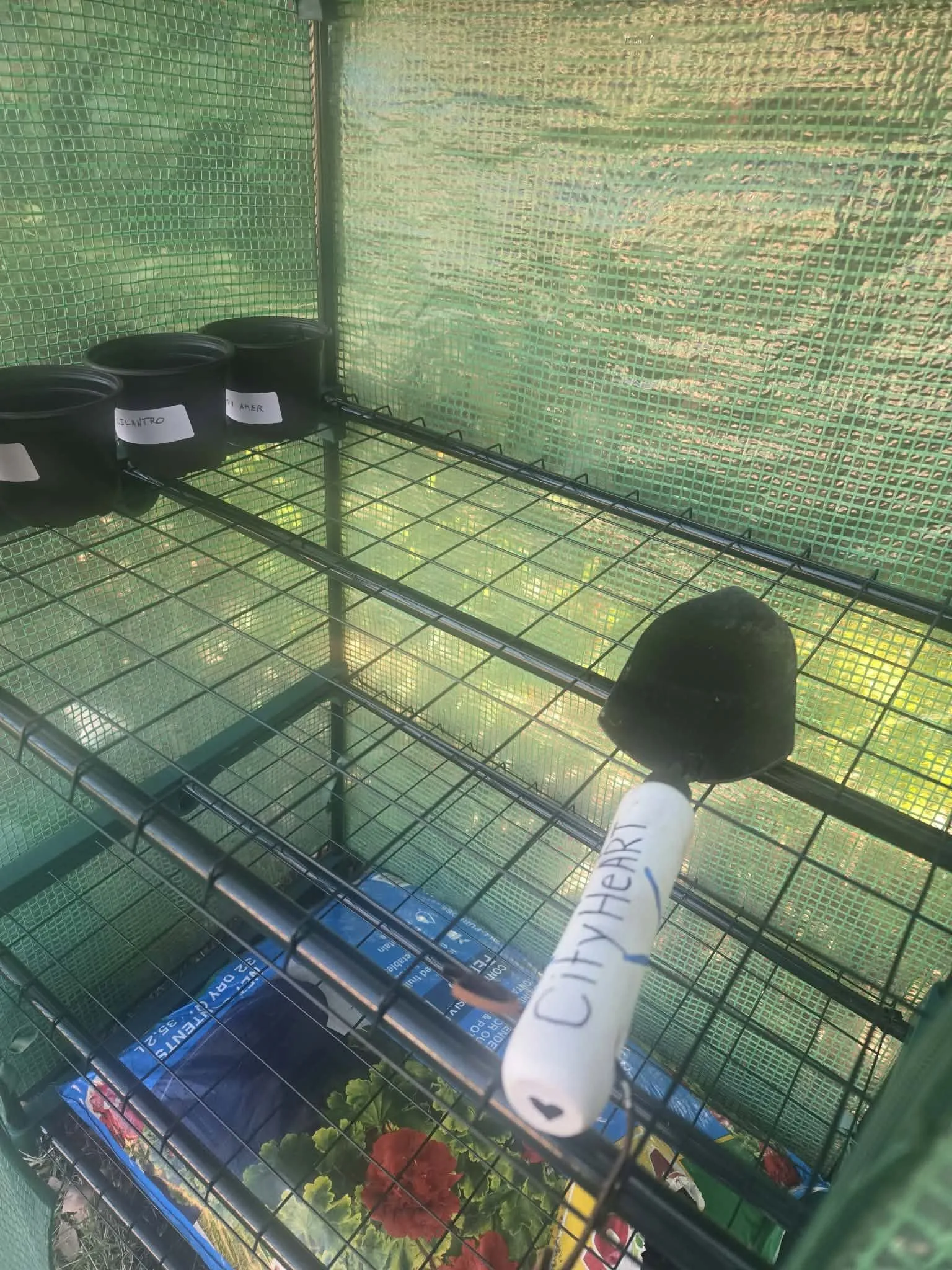 A greenhouse propagation station with labeled herb pots and a hand-painted CityHeART marker